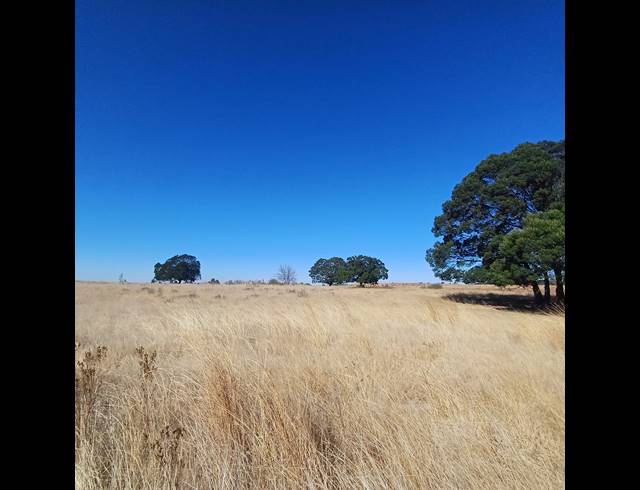 8.50HA VACANT LAND FOR SALE IN WITKOP